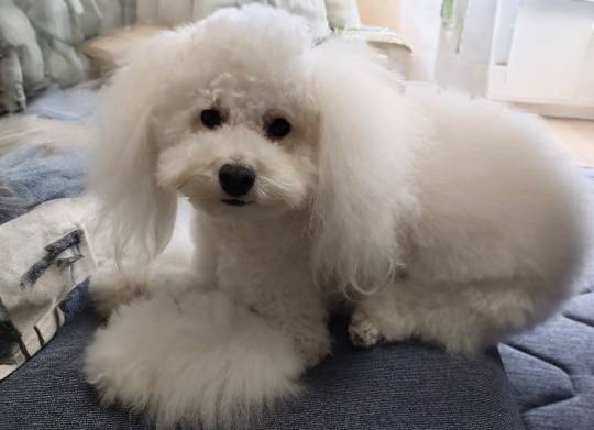 生き物ルーム75