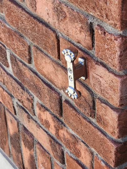 生き物ルーム75