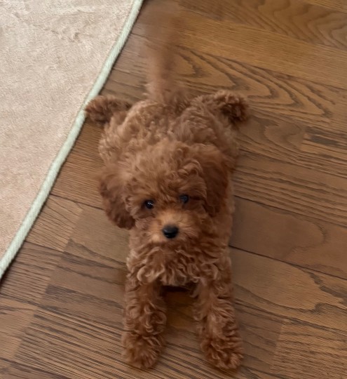 生き物ルーム75