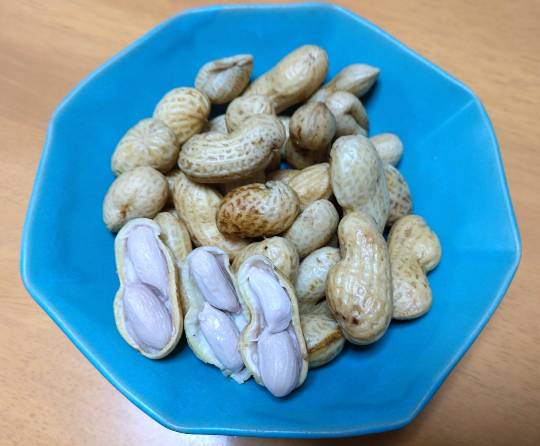 マスク同好会詰め所兼ニューフェイス歓迎所47╰(*´︶`*)╯