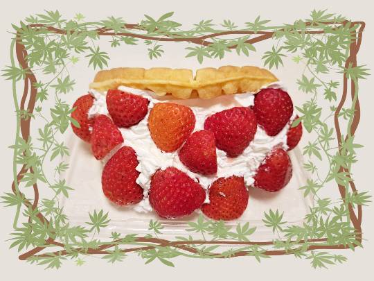 ★ドンキ♡♡ロピア雑談121★