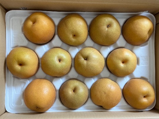 ★ドンキ♡♡ロピア雑談121★