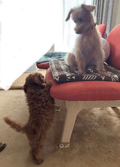 生き物ルーム75