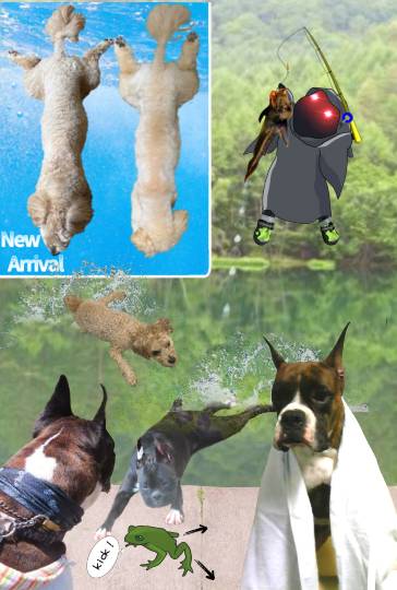 生き物ルーム75