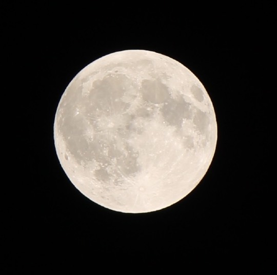 あつまれ！サブカルの森 ＃5