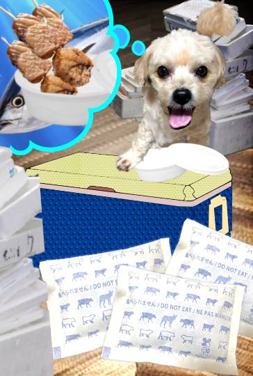 生き物ルーム75