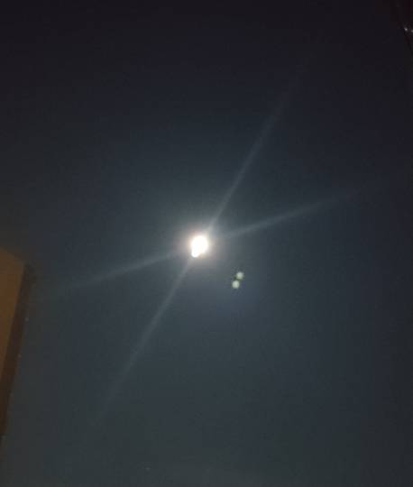 ★ドンキ♡♡ロピア雑談120★