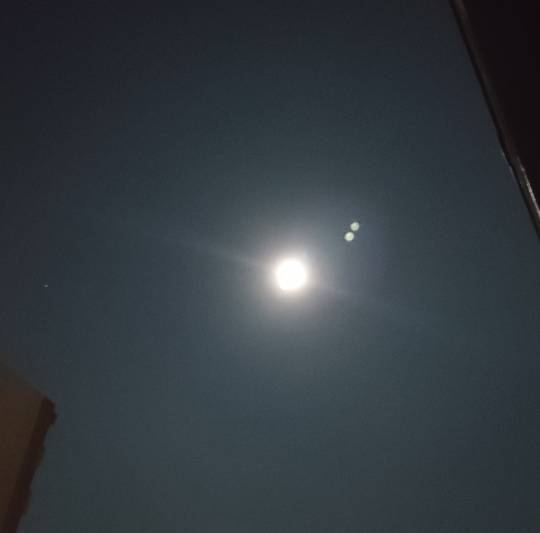 ★ドンキ♡♡ロピア雑談120★