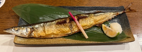 生き物ルーム75