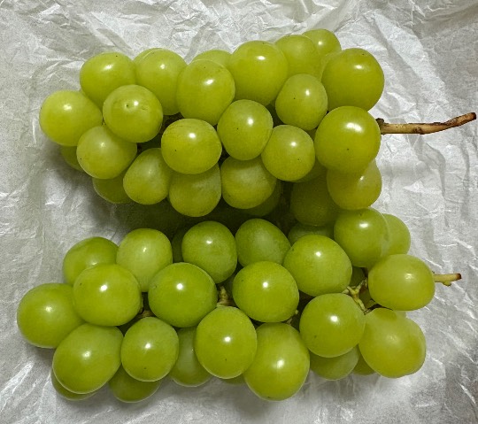 ★ドンキ♡♡ロピア雑談121★