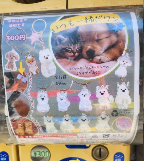 生き物ルーム75