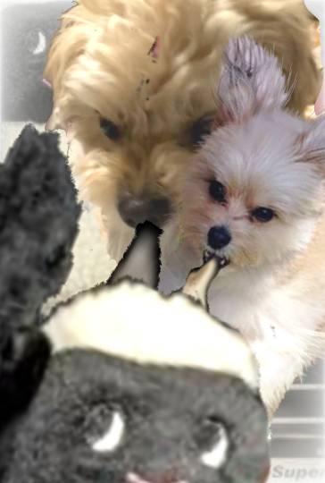 100均トピ②　100均も好き～♪