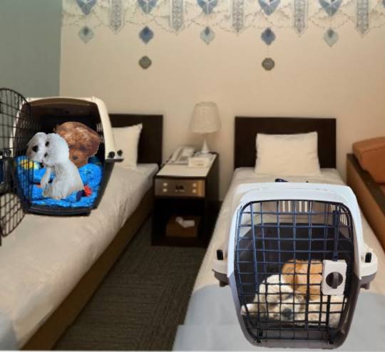 生き物ルーム75