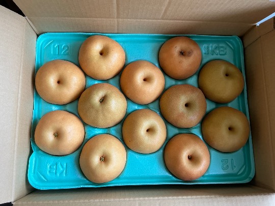 ★ドンキ♡♡ロピア雑談121★