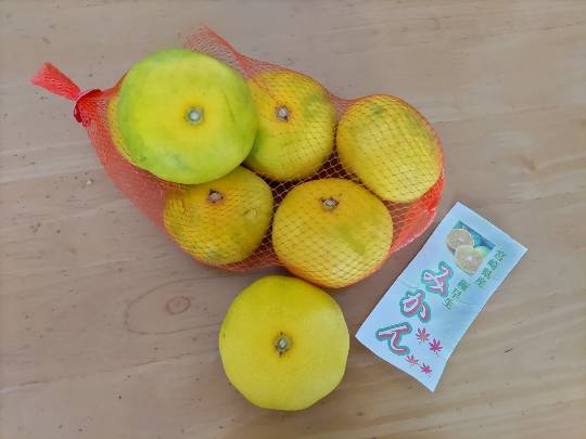 ★ドンキ♡♡ロピア雑談121★