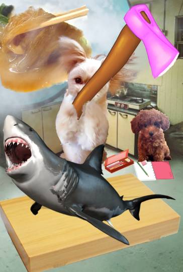 生き物ルーム75