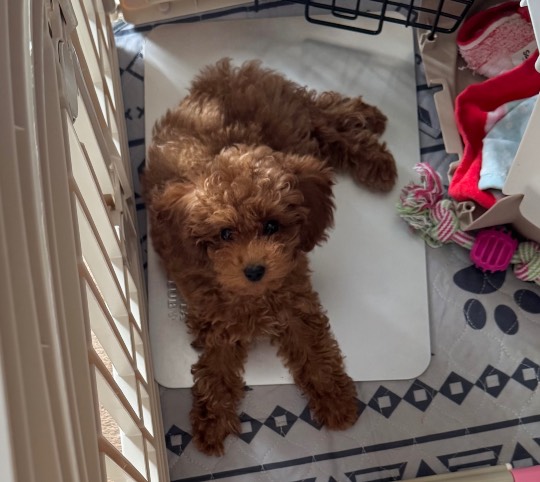 生き物ルーム75