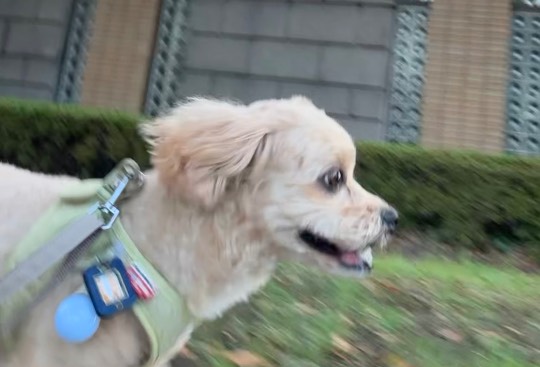 生き物ルーム75