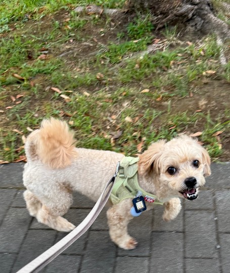 生き物ルーム75