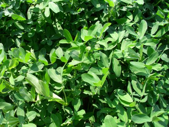 ★ドンキ♡♡ロピア雑談121★