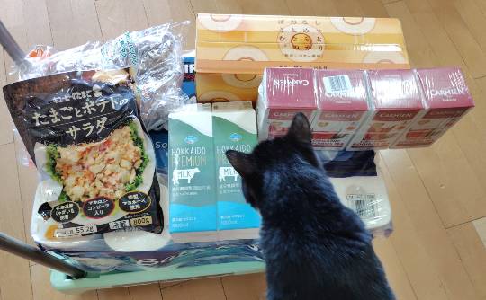 9月5日(金曜日) 　広島倉庫店｜10時頃から11時半頃まで行ってきました...