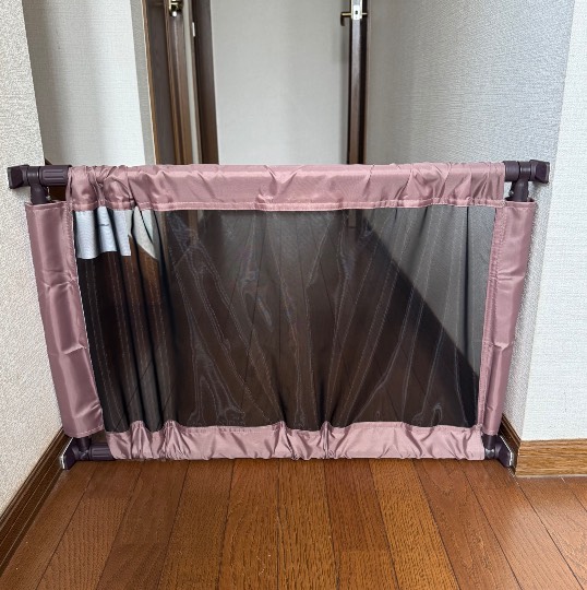 生き物ルーム75