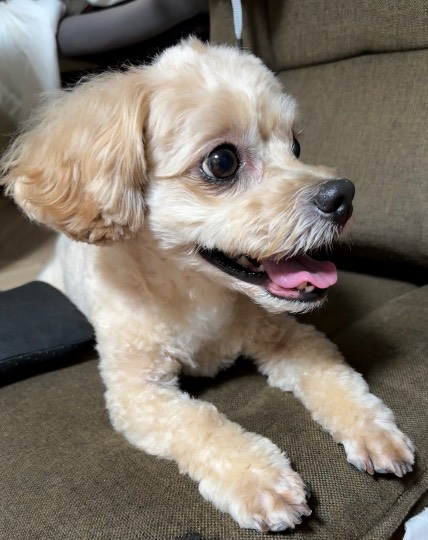 生き物ルーム75