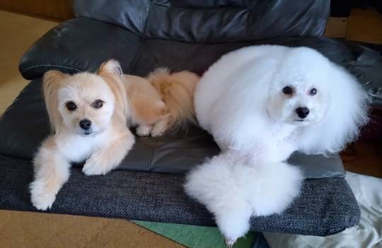 生き物ルーム75