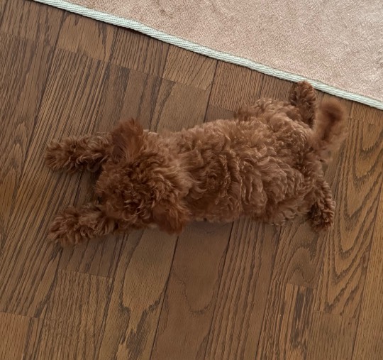 生き物ルーム75