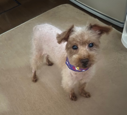 生き物ルーム75