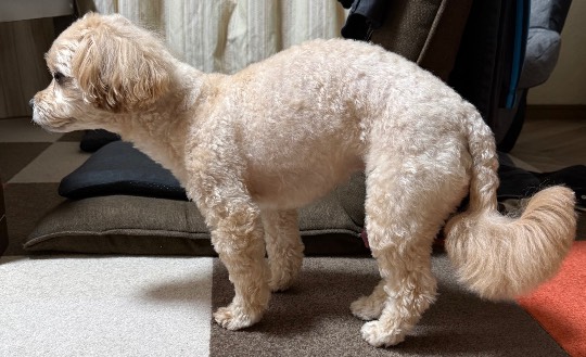 生き物ルーム75