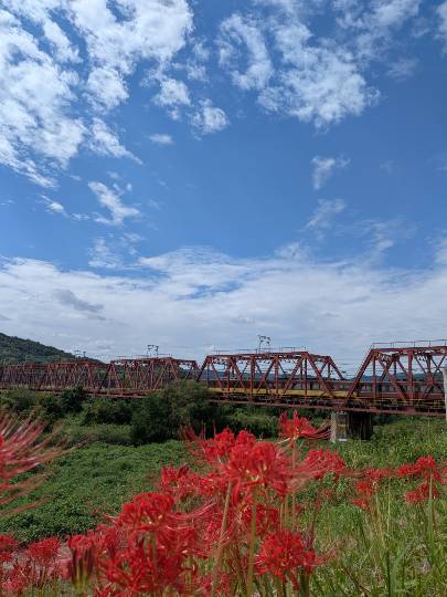 新装・旅行トピ