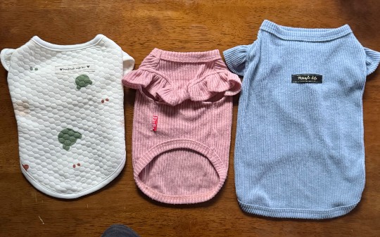 生き物ルーム75