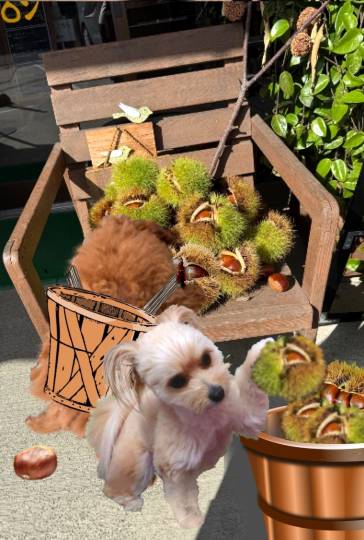 生き物ルーム76