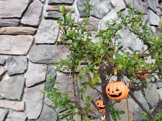 ★ドンキ♡♡ロピア雑談122★