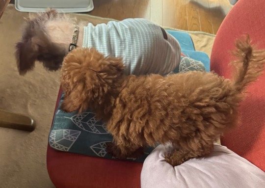 生き物ルーム75