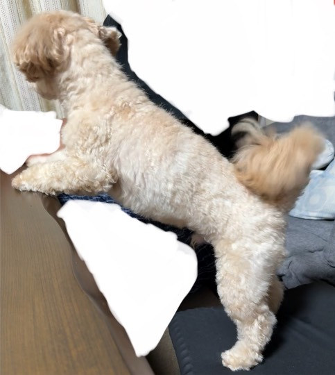 生き物ルーム75