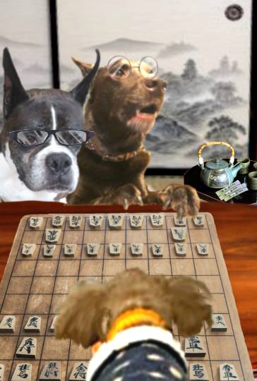 生き物ルーム75