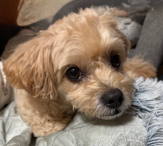 生き物ルーム75