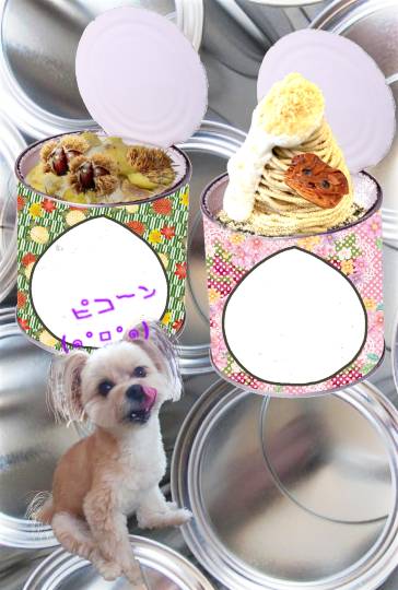 生き物ルーム75