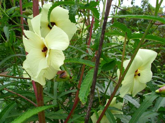 ★ドンキ♡♡ロピア雑談122★