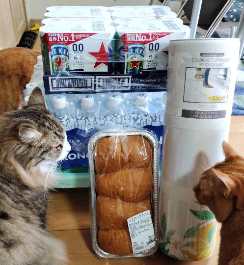 10月16日(木曜日) 広島倉庫店|【朗報】マロンソフトクリーム来広!!
...