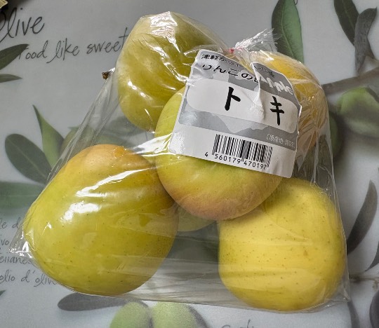 マスク同好会詰め所兼ニューフェイス歓迎所47╰(*´︶`*)╯