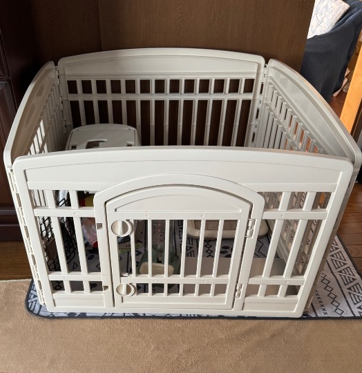 生き物ルーム75