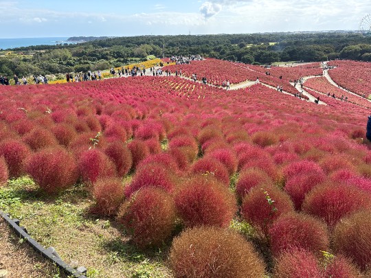 生き物ルーム76