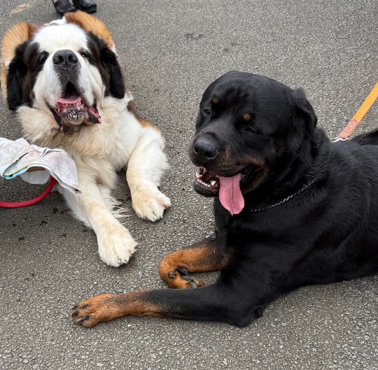 生き物ルーム76