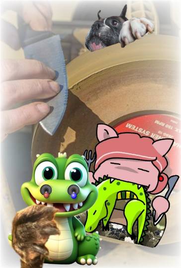 生き物ルーム75