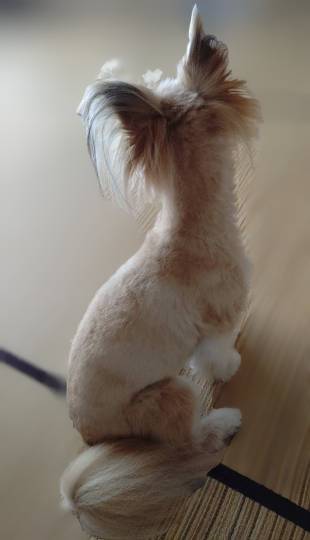 生き物ルーム76