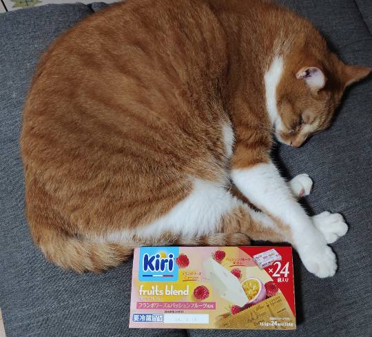 10月16日(木曜日) 広島倉庫店|【朗報】マロンソフトクリーム来広!!
...