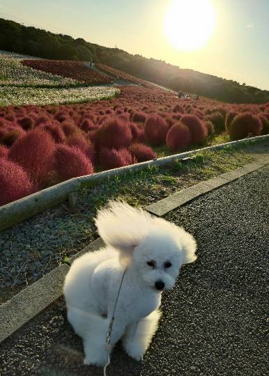 生き物ルーム76